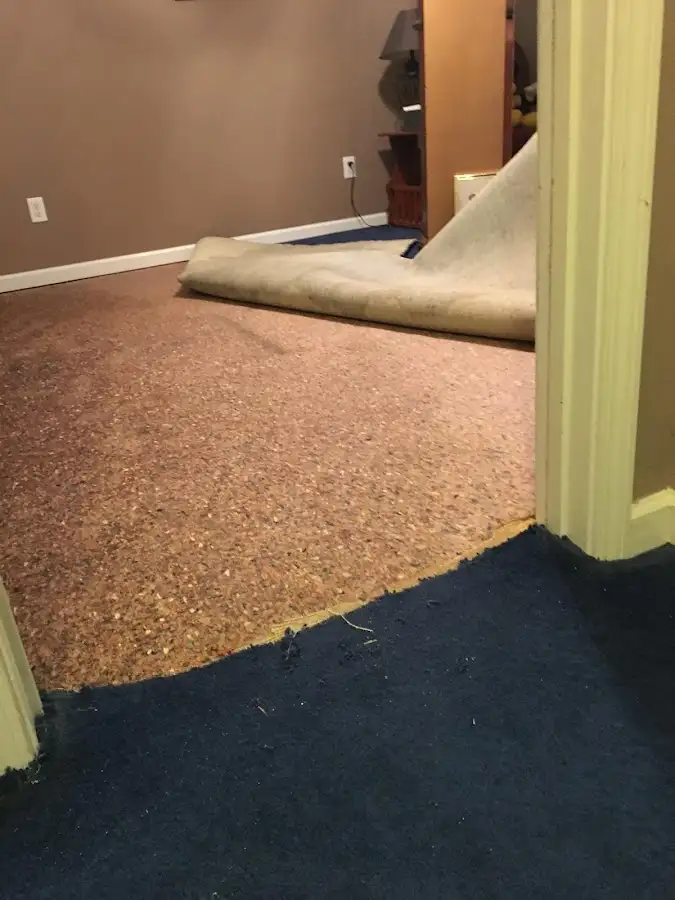 Carpet pad removal revealing water damage during Drying & Dehumidification in Carrollwood