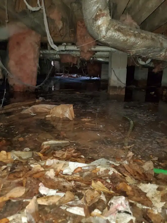 Crawl space flood assessment for Commercial Water Damage Restoration in Carrollwood